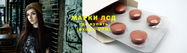 гидра Михайловск