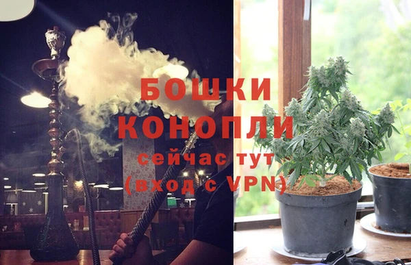 гидра Михайловск