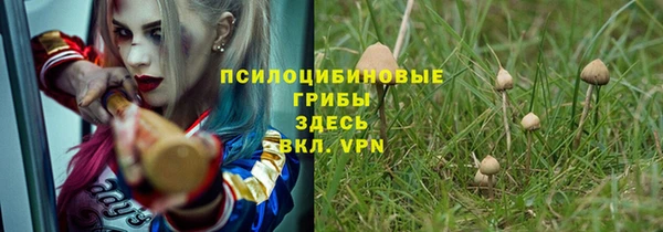 бошки Михайлов