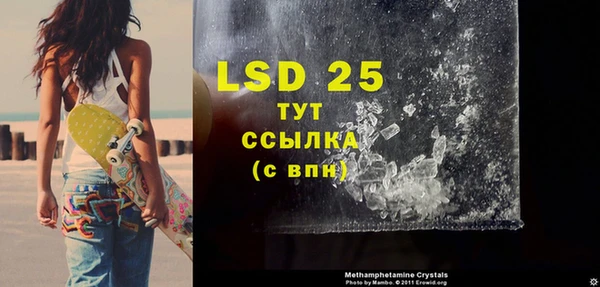 гидра Михайловск