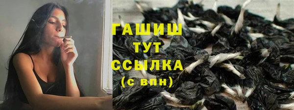гидра Михайловск