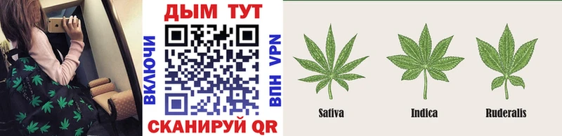 мега   продажа наркотиков  Хилок  Бошки Шишки SATIVA & INDICA 